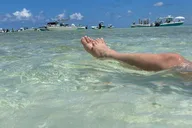 Key Largo Sandbar Excursion thumbnail 5
