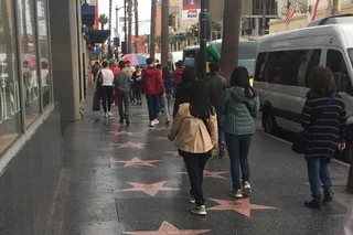 Los Angeles Hollywood Private Tour 4 hr