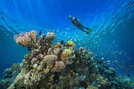 West Maui Self-Guided Electric Bike and Snorkel Explorer thumbnail 4