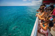 Waikiki Glass Bottom Boat Tour thumbnail 3