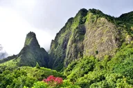 Maui Sips, Sites, and Bites Day Trip from Oahu thumbnail 2