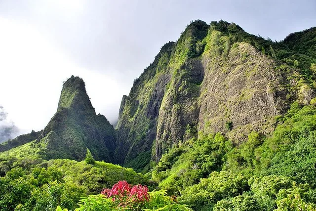 Maui Sips, Sites, and Bites Day Trip from Oahu - Image 2