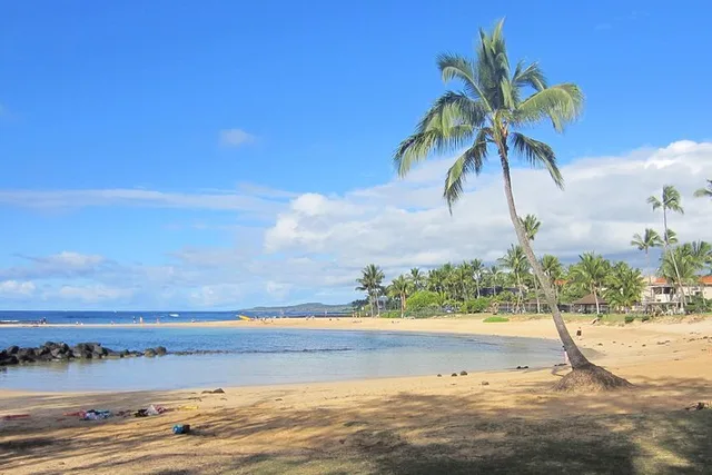 Kauai Private Tour of South & West Shores - Image 5