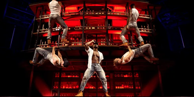 Las Vegas Magic Mike Live Show - Image 2