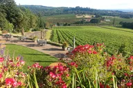 Portland Willamette Valley Wine Tasting Tour thumbnail 5