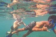 Lahaina Snorkeling Tour at Olowalu Reef thumbnail 5