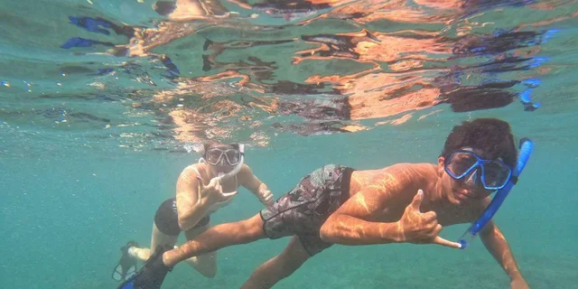 Lahaina Snorkeling Tour at Olowalu Reef - Image 5