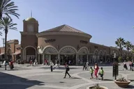 San Diego Scenic Tour 7 Hours thumbnail 6
