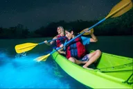 Cocoa Beach Bioluminescence Kayak Tour 90 Min thumbnail 2