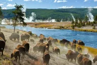 Salt Lake City Yellowstone & Grand Teton Tour 3-Day thumbnail 1
