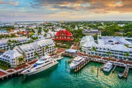 Key West Dolphin Safari Private Charter 4 hr thumbnail 5
