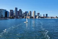 Boston Doggy Costume Party Cruise 2 hr thumbnail 4