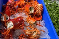 Portland Walking Tour with Clam Chowder thumbnail 5
