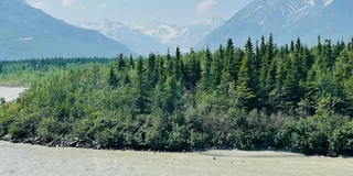 Whittier to Anchorage Scenic Transfer