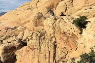 Las Vegas Red Rock Canyon Guided Hike thumbnail 4