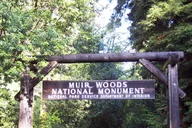 San Francisco Alcatraz Island and Muir Woods Tour thumbnail 3