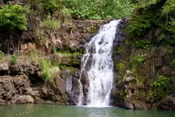 Oahu North Shore Tour with Waimea Waterfall thumbnail 2