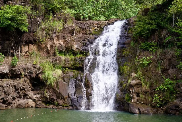 Oahu North Shore Tour with Waimea Waterfall - Image 2
