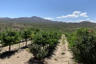 Sedona Red Rocks & Verde Valley Wineries Private Tour thumbnail 5
