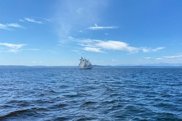 Seattle Sailing Harbor Tour - Image 3