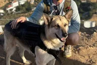 Los Angeles Hollywood Sign Tour with Comedians and Dogs 2.5 hr thumbnail 2