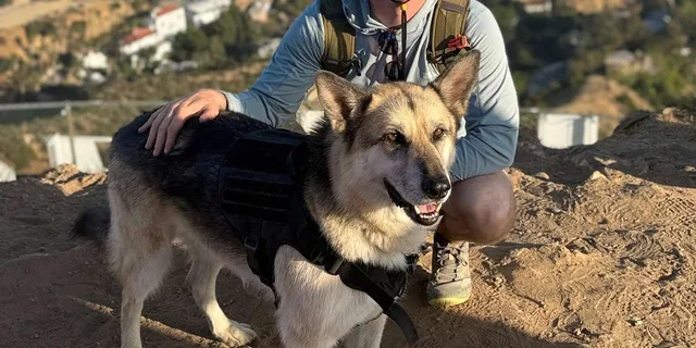 Los Angeles Hollywood Sign Tour with Comedians and Dogs 2.5 hr - Image 2