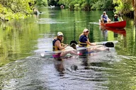 Silver Springs Clear Canoeing Wildlife Adventure thumbnail 4