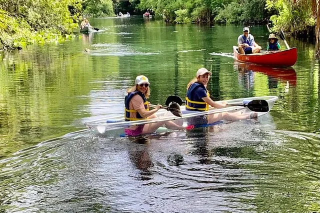 Silver Springs Clear Canoeing Wildlife Adventure - Image 4