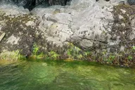 Ketchikan Kayak Tour with Boat Launch thumbnail 2