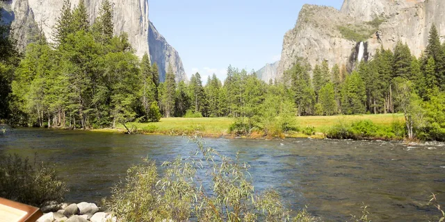 Yosemite National Park Day Trip from Lake Tahoe - Image 6