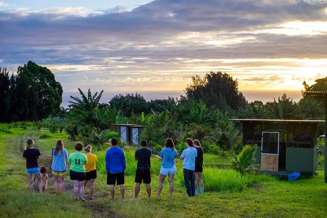 Hawaii Farm Tour on Big Island - Image 1