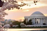 Washington DC Private Custom Walking Tour thumbnail 3