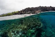 Maui Molokini Snorkel and Whale Watching Tour 2.5 Hours thumbnail 5