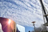Seattle Space Needle & Center Private Tour thumbnail 1