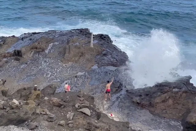 Oahu Circle Island Snorkel Tour with Turtles - Image 3