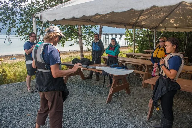 Skagway Sea Kayaking Adventure - Image 3