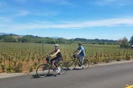 Napa Valley Bike Tour with Wine Stops 4 hr thumbnail 1