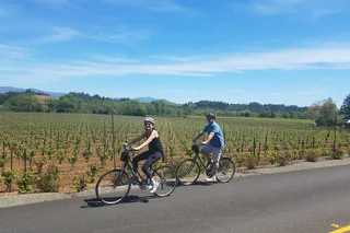 Napa Valley Bike Tour with Wine Stops 4 hr