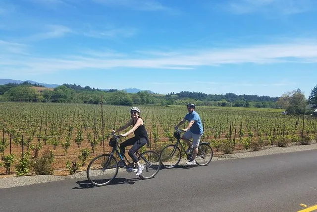 Napa Valley Bike Tour with Wine Stops 4 hr - Image 1