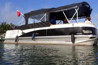 Crystal River Manatee Snorkel Tour thumbnail 3