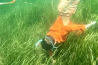 Crystal River Scalloping Tour thumbnail 4