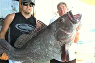 Fort Lauderdale Deep Sea Fishing Charter thumbnail 6