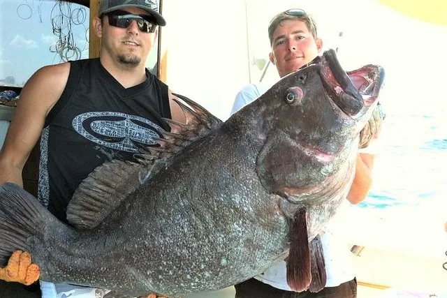 Fort Lauderdale Deep Sea Fishing Charter - Image 6