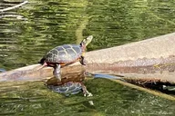 Sebago Lake Historical Kayak Tour thumbnail 4