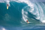 Oahu Swim with Turtles Tour thumbnail 4