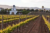 San Diego Valle de Guadalupe Winery Tour thumbnail 1