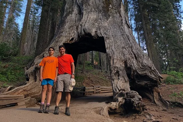 Yosemite Private Tour: Valley, Glacier Point & Sequoias - Image 4