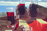 Big Island Edible Hibiscus Farm Tour thumbnail 3