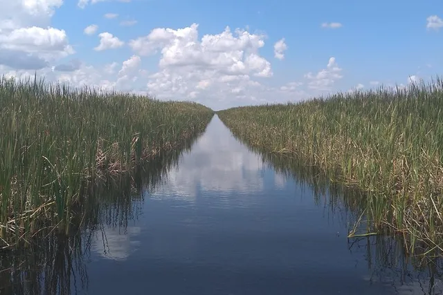 Palm Beach Air Boat Tour in The Swamp Monster - Image 6