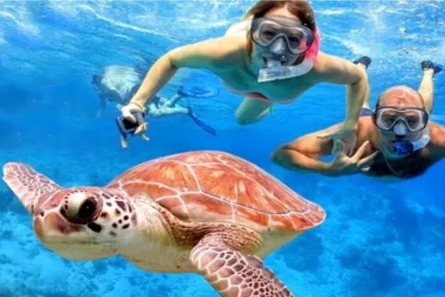 Blue Lagoon Snorkeling Tour - Image 2